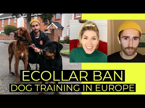 WHY PRONG AND ECOLLARS ARE BANNED FOR DOG TRAINING IN EUROPE | TRAINERS WHO USE THESE TOOLS