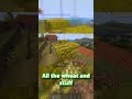 Minecraft But Every Chunk Has A Random Effect PART TWO