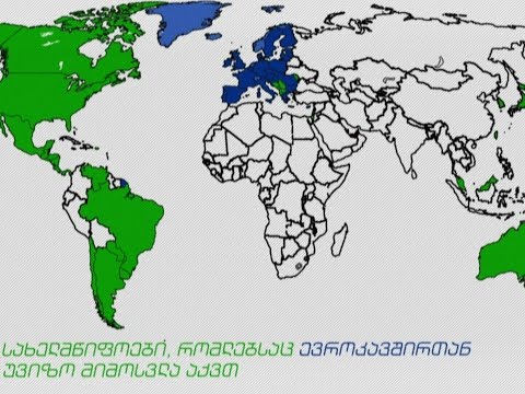 ვიზა ლიბერალიზაცია - გიორგი კაკაბაძის სიუჟეტი