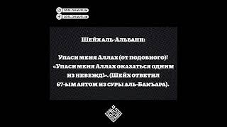 Вас можно снимать на видео? Вопрос шейху Аль Альбани.