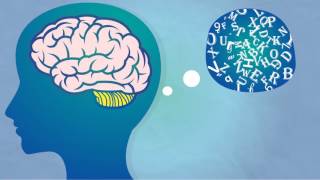 Athletes Secret Weapon...the Brain Body Connection