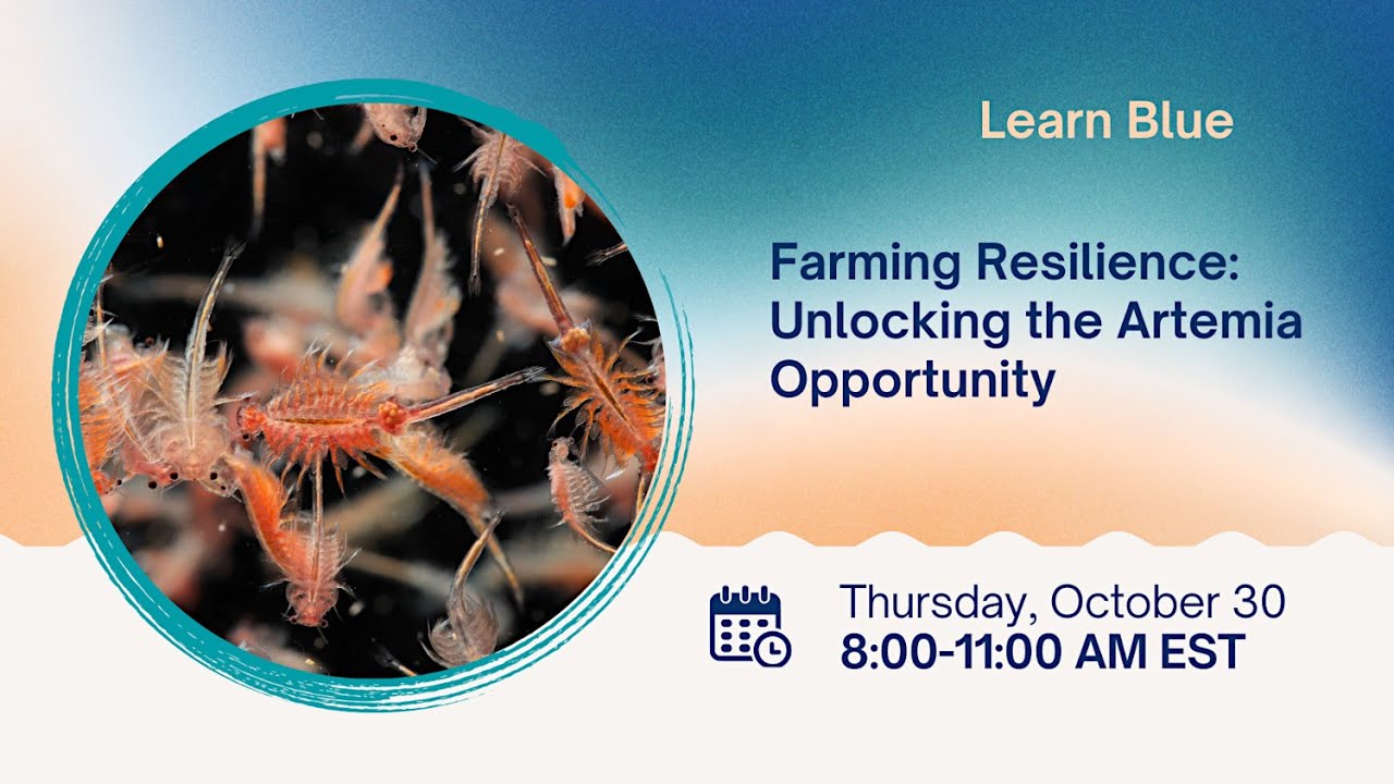 Farming Resilience: Unlocking the Artemia opportunity