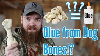 Can You Make Glue With Dog Bones? Lets Find Out!  (making rawhide glue)