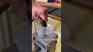 Kousnutím Zabije 100 Lidí