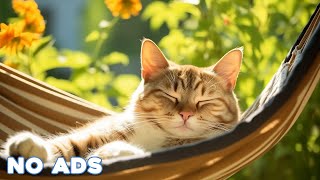 12 Hours Cat Healing Music 🐈 Soothing Sounds for Deep Relaxation And Sleep With Soothing Piano Sound