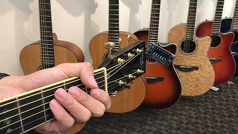 Korg AW-OTG-Poly Tuner!