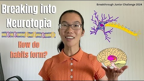 Breaking into Neurotopia: How do habits form? | Breakthrough Junior Challenge 2024 🧠⚡️