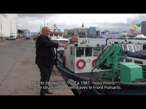 YouTube video player