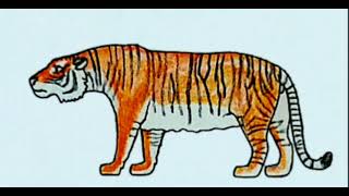 Caspian Tiger Sound Effects