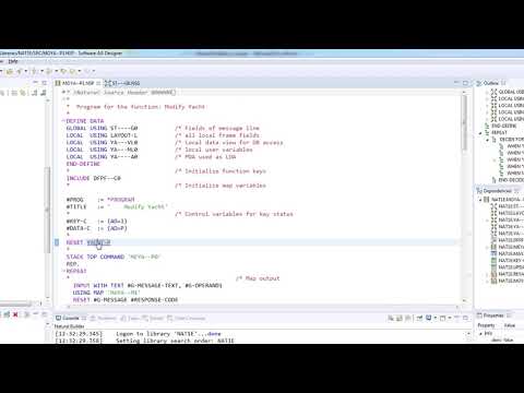 02 NaturalONE: Source Code Editor