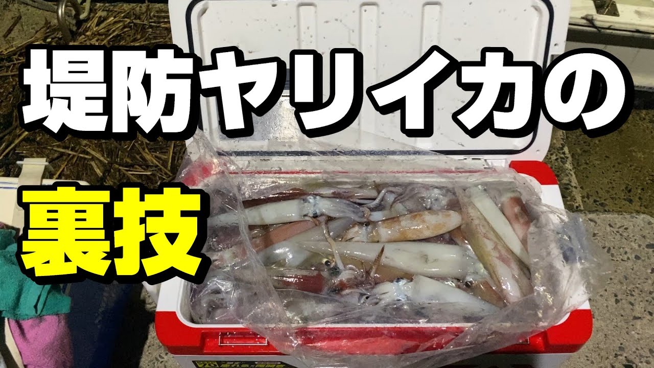 これが堤防のヤリイカ釣りで一人勝ちできる方法です 【99釣目】