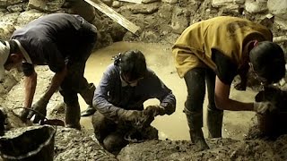【人間菩提】20150818 - 行正軌道人世安