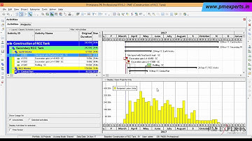 Learn - How to generate S-Curve in Primavera
