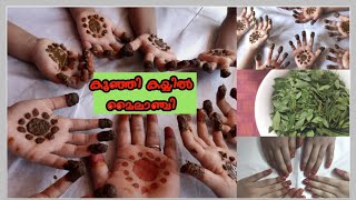 കുഞ്ഞി കൈകളിൽ മൈലാഞ്ചി/ Traditional Mehendi paste/Organic Henna/1