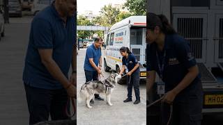 Fake Dog Transport Companies Se Kaise Bache |   Real Warning Signs