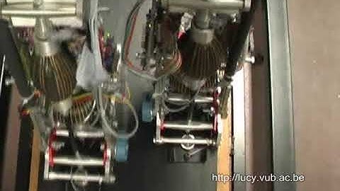 Lucy the pneumatic artificial muscle walking robot
