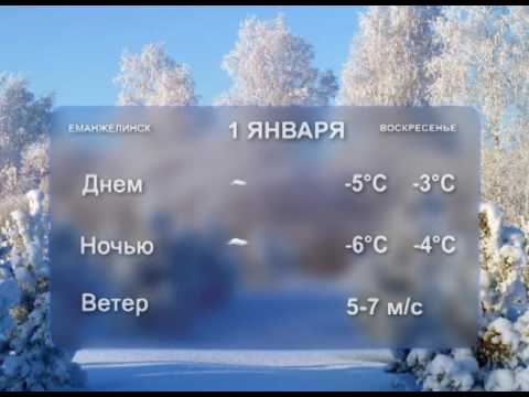 Погода на 31 декабря и 1 января.