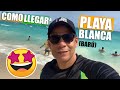 Cómo llegar a Playa Blanca (BARÚ)🏝Cartagena 🇨🇴🎉Buena y Bonita ✅