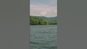 لو كانوا يعملون 🍂🥀 الشيخ ياسر الدوسري #تلاوة_خاشعة #ياسر_الدوسري #القرآن