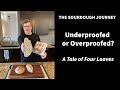 Underproofed or Overproofed? : A Tale of Four Loaves