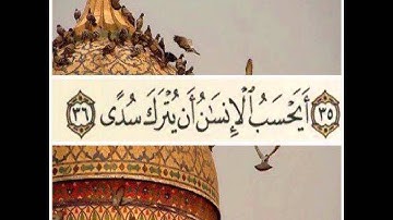 سورة القيامة _الشيخ محمد حسان