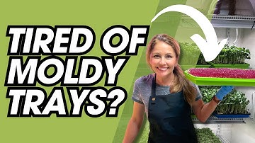 How to Grow Healthy Amaranth Microgreens | Mold Prevention Tips