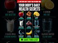 What Happens to Your Body When You Follow These 9 Daily Habits #healthtips #animation