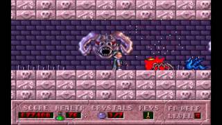 Hocus Pocus - Episode 4: Destination Home - Level 5 (1994) [MS-DOS]