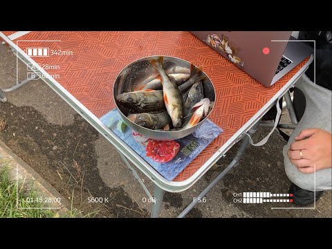 Summer Perch Micro Game Dubna 2023