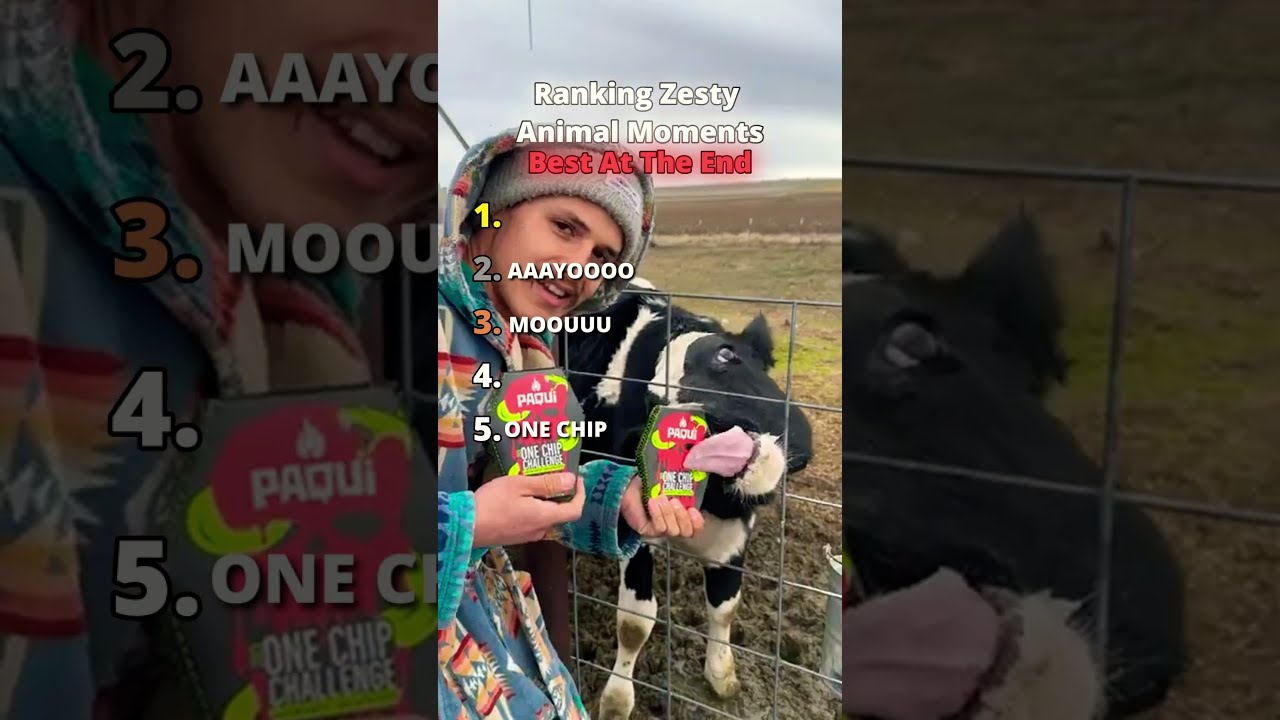 Ranking Zesty Animals