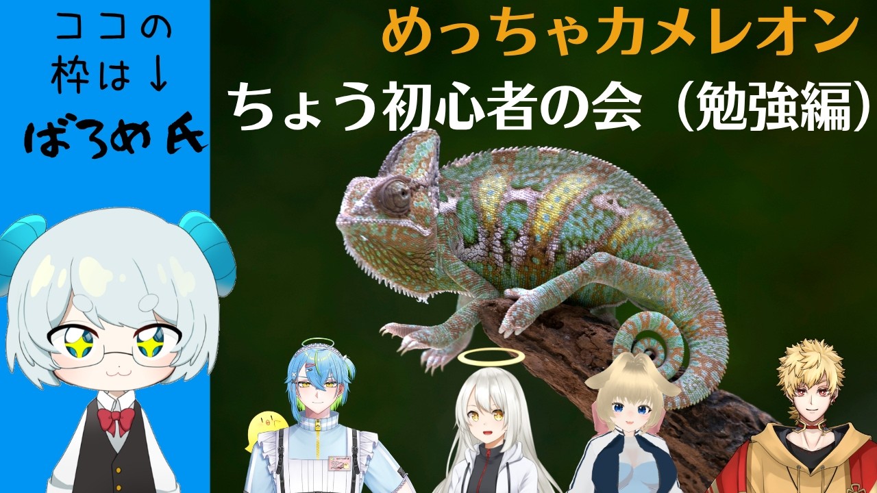 《ばろめ視点》めっちゃカメレオン ちょう初心者の会(勉強編)