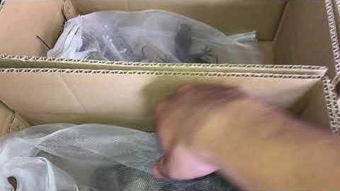 Tắc kè giống chuẩn bị xuất - nơi bán tắc kè uy tín . Tackephuchau 0913398911