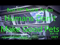 Best HFY Reddit Stories:  Humans Don't Make Good Pets (Part 18) (r/HFY)