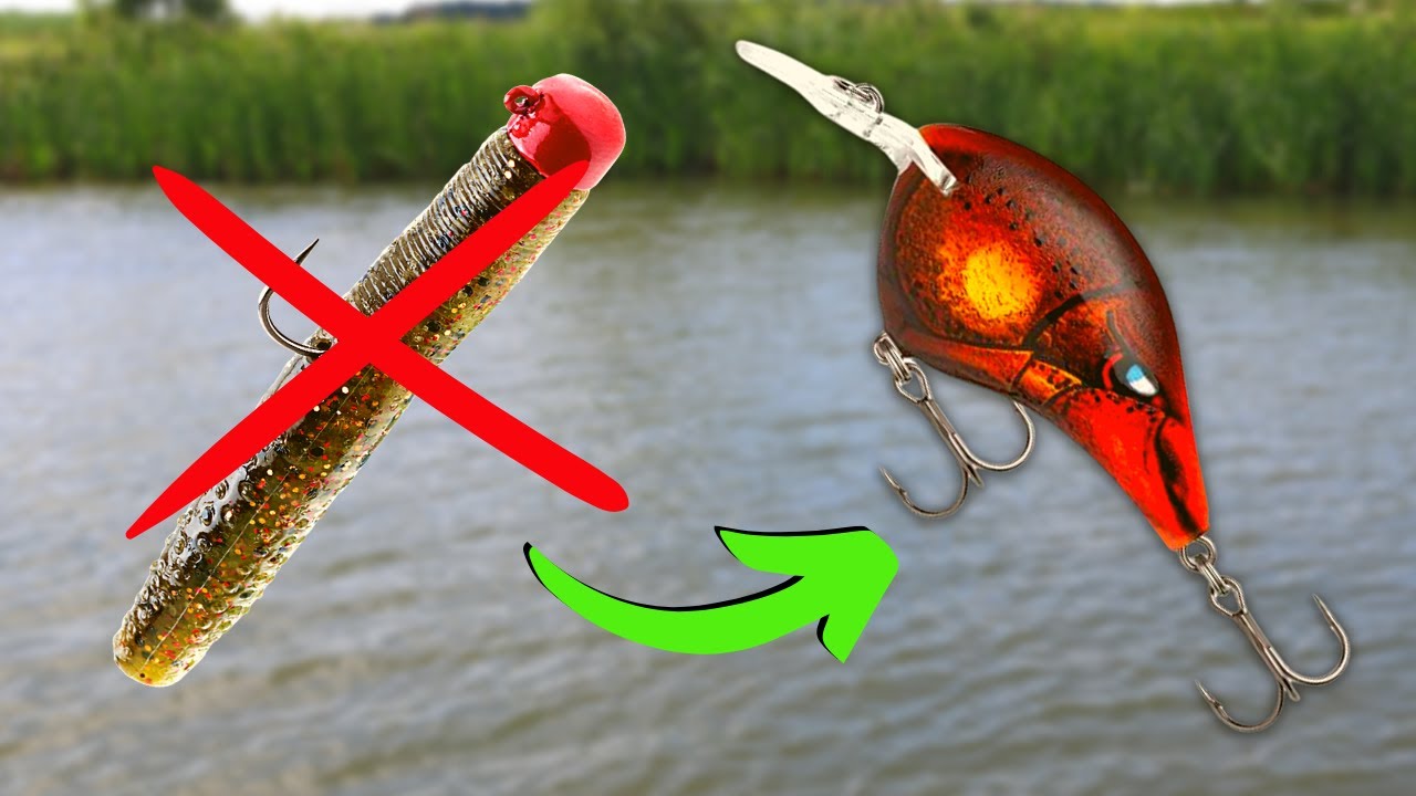 STOP Choosing The WRONG Lure.. 