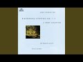 Miniature de la vidéo de la chanson Concerto No. 3 In G Major, Bwv 1048: Ii. Adagio