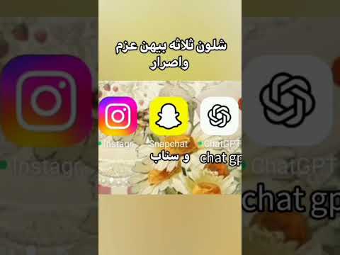 شلون تلاثه بيهن عزم و اصرار زينب تحب متابعينها احبكم