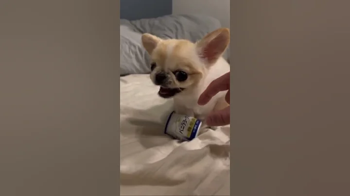 Pino doesn’t want to part with favorite yogurt😂