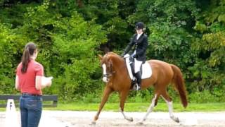 Outfoxed Farm Dressage