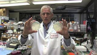 Consequences of Infidelity: Spellchecking DNA - Thomas Kunkel, NIH Scientist
