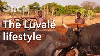 Zambia: The preparation of the Mukanda ceremony I SLICE