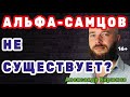 Альфа-самцов не существует? Миф об отморозках-альфачах, первобытных вождях и любимцах женщин