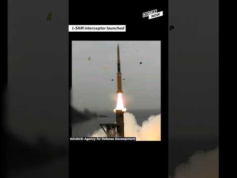 S.Korea's homegrown THAAD missile
