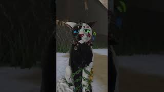 Je Possède Des Thunes