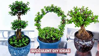 Creative DIY Succulent Decor Ideas You Can Make at Home!
