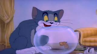 Download Lagu Tom And Jerry in Puss ‘N’ Toots (1954) Original Titles Opening And Closing MP3