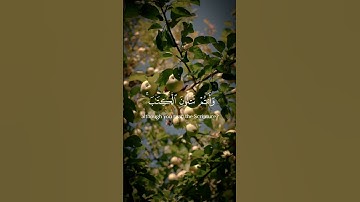 أتأمرون الناس بالبر وتنسون أنفسكم وأنتم تتلون الكتاب #القرآن_الكريم #سورة_البقرة #أحمد_بن_طالب