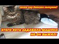 Они спасают котят и щенков святые люди живут в Казахстане