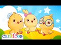 Little Chickies Squeal🐥 Pio Pio Pio 🐥Farm Animals Song 🐥 Canticos Nursery Rhymes & Kids Songs