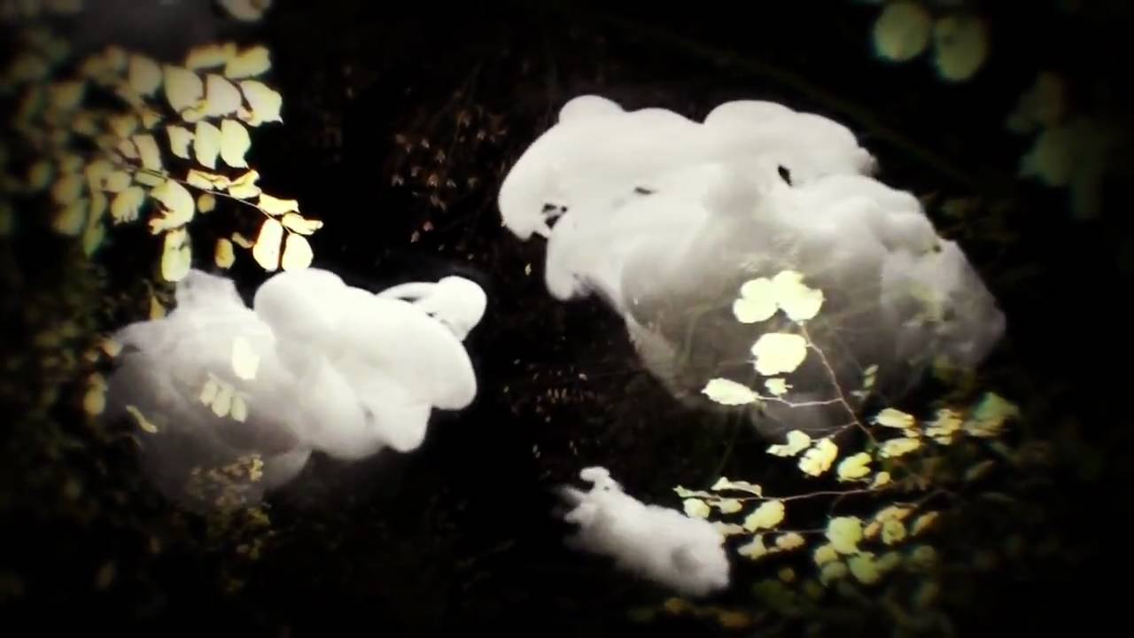 Mira Little Dragon - 'Blinking Pigs' en YouTube Mira Little Dragon - 'Blinking Pigs' en YouTube