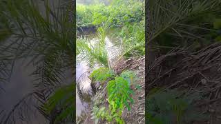 Last Ke Liye Time Todena Padega